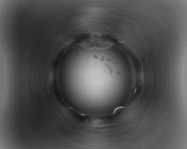 X0000093170472200710031507