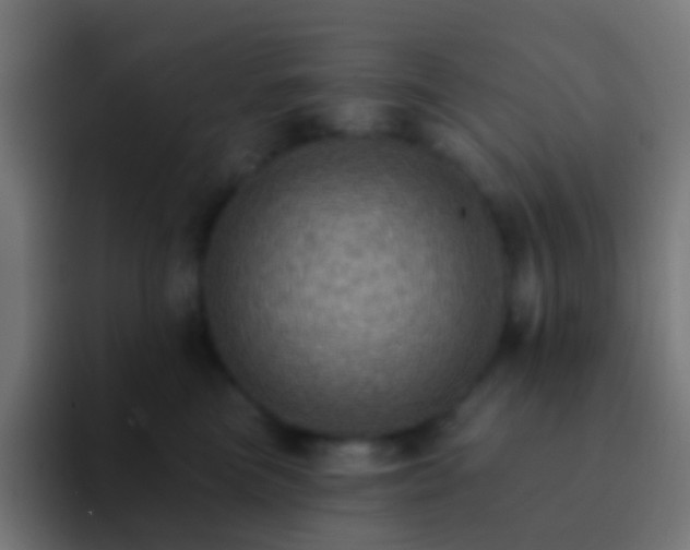 X0000093170473200710031507