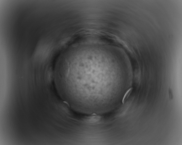 X0000093170474200710031507