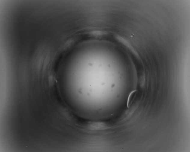 X0000093170476200710031507