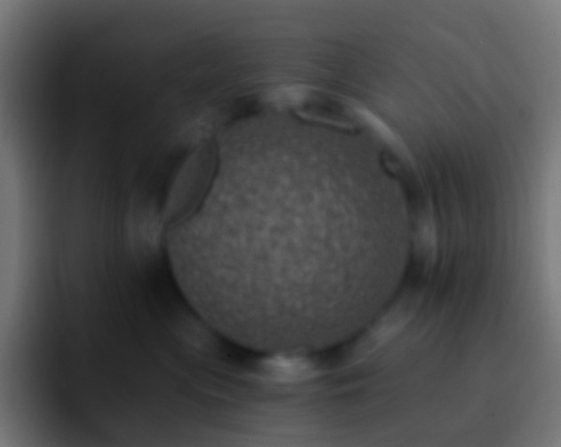 X0000093170477200710031507