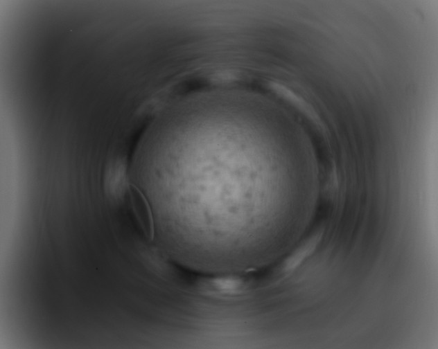 X0000093170478200710031507