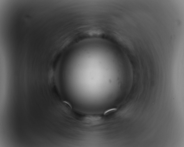X0000093170480200710031507