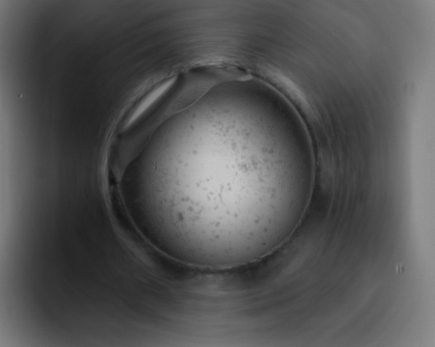 X0000093170482200710031506