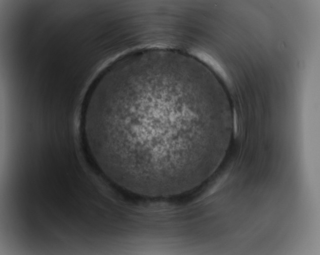X0000093170483200710031506