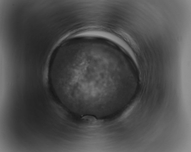 X0000093170484200710031506