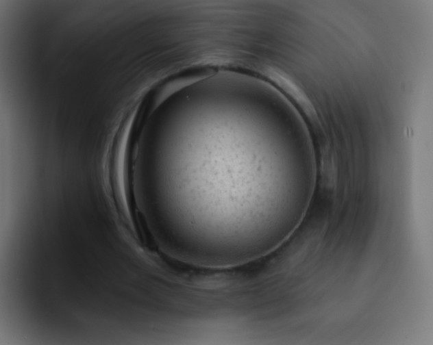 X0000093170485200710031506