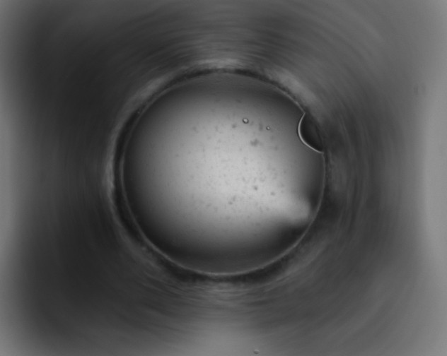 X0000093170486200710031506
