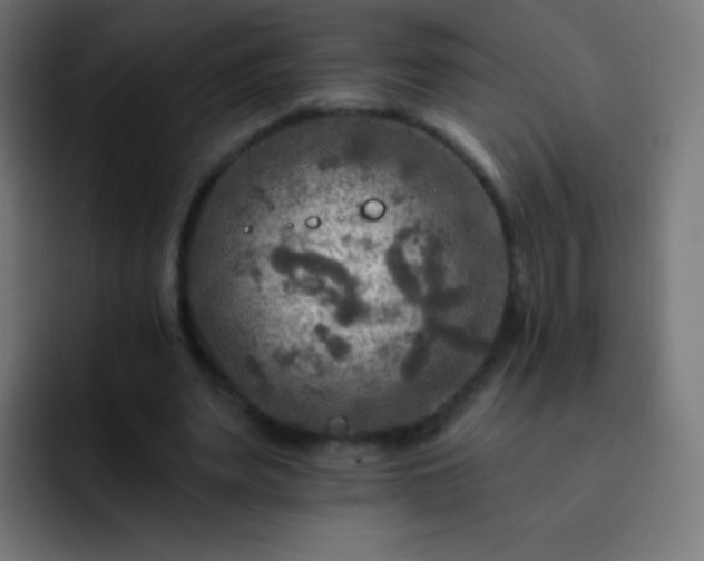 X0000093170487200710031506