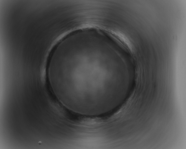 X0000093170488200710031506