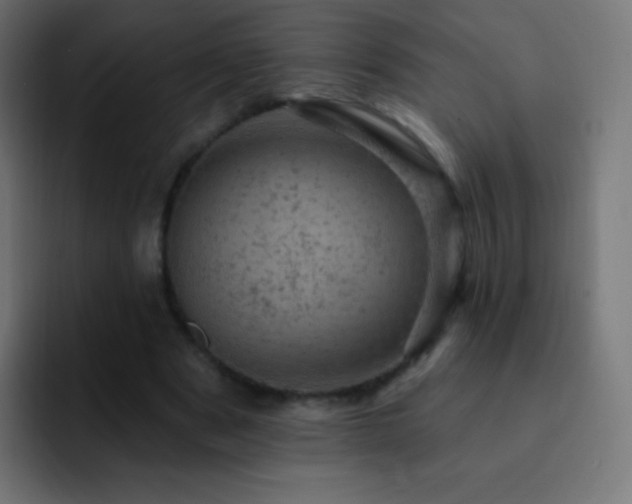 X0000093170489200710031506