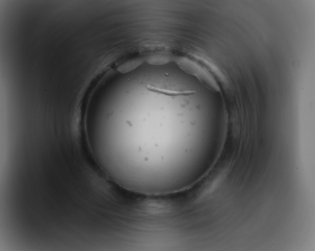 X0000093170490200710031506