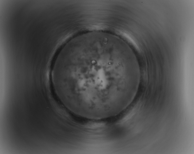 X0000093170491200710031506