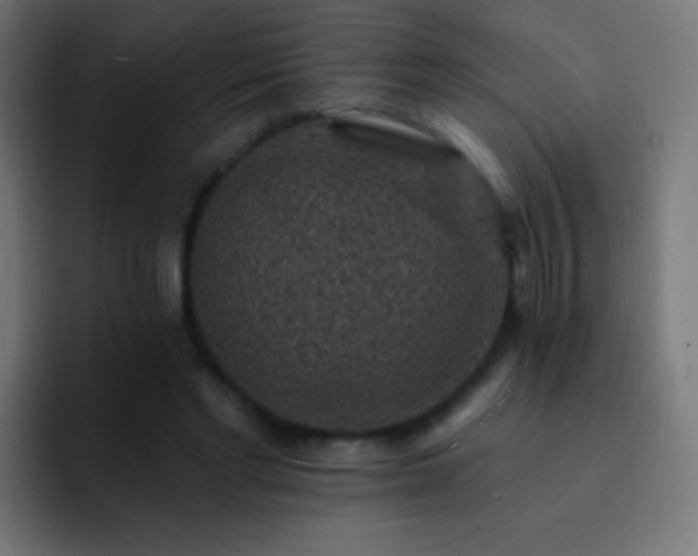 X0000093170493200710031506