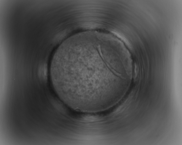 X0000093170494200710031506