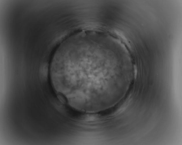 X0000093170495200710031506