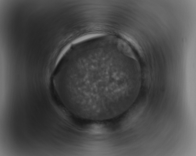X0000093170496200710031506
