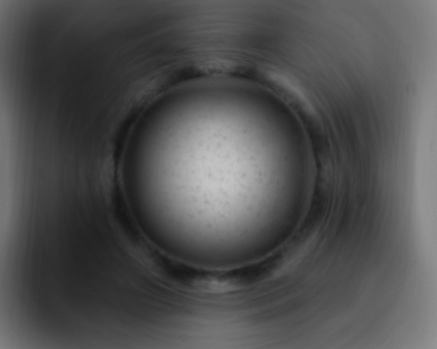 X0000093170498200710031506