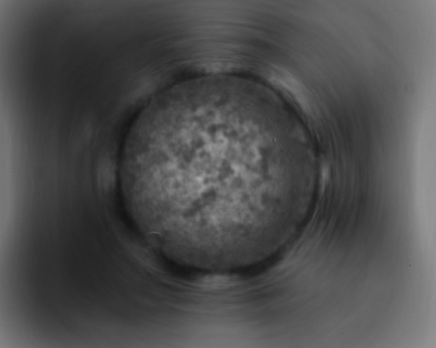 X0000093170499200710031506