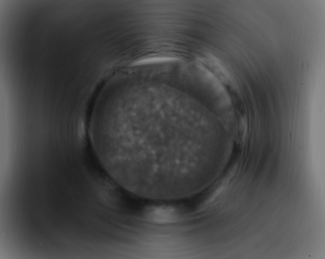 X0000093170500200710031506