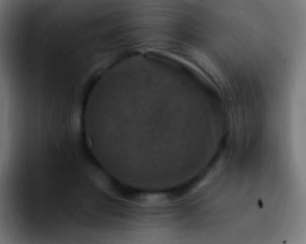 X0000093170501200710031506
