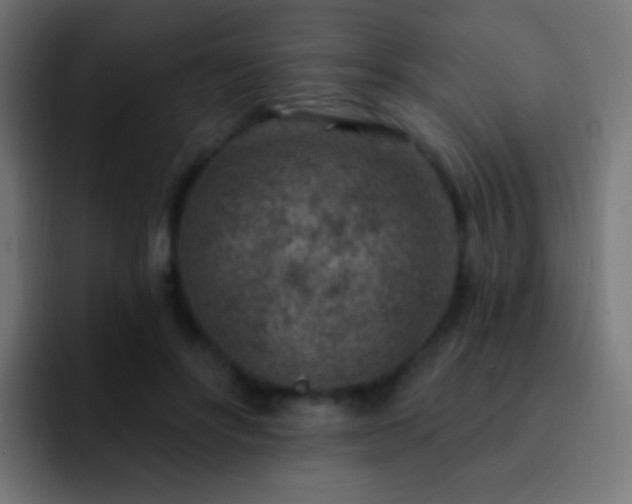 X0000093170502200710031506
