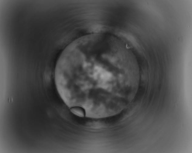 X0000093170503200710031506
