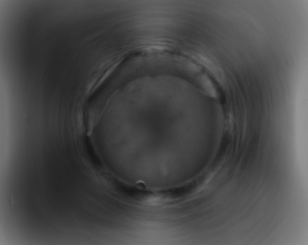 X0000093170504200710031506