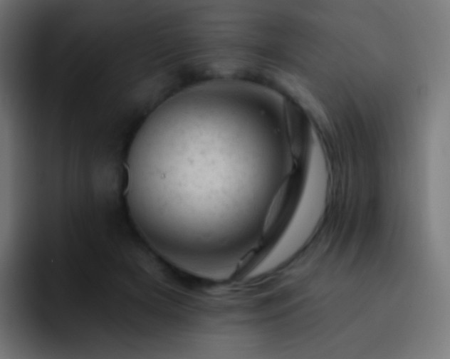 X0000093170505200710031506