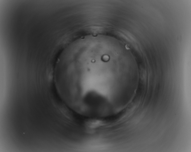 X0000093170507200710031506