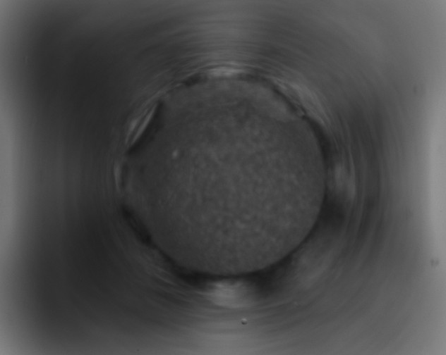 X0000093170508200710031506