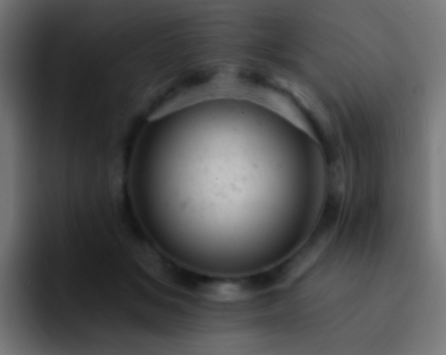 X0000093170509200710031506