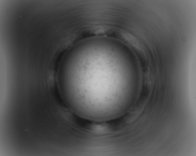 X0000093170510200710031506