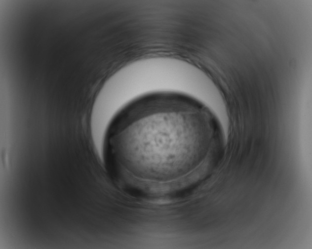 X0000093170512200710031506