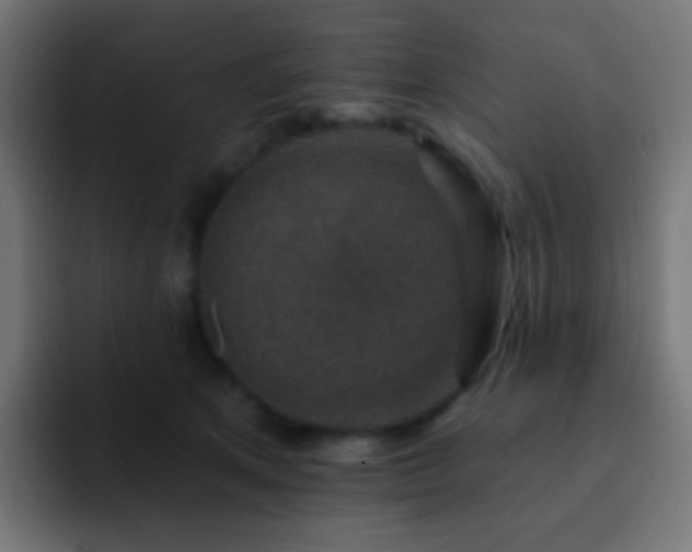X0000093170513200710031506