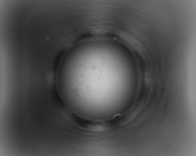 X0000093170514200710031506