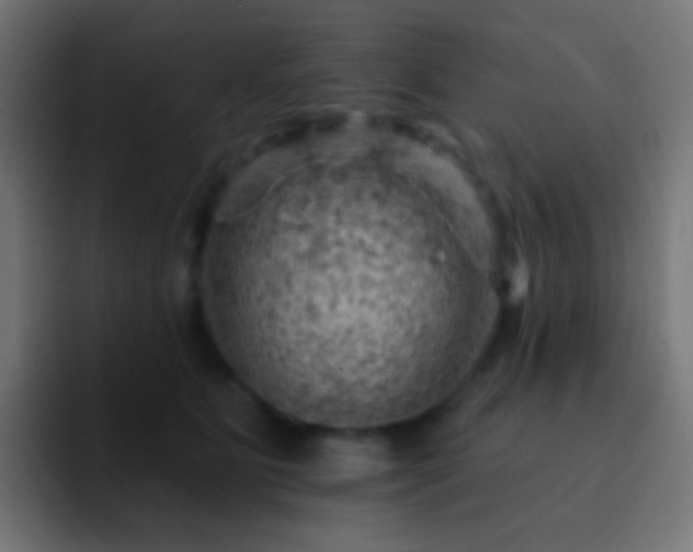 X0000093170515200710031506