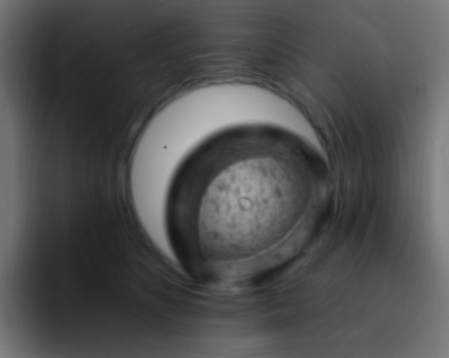 X0000093170516200710031506