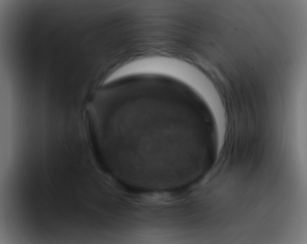 X0000093170517200710031506