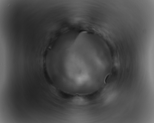 X0000093170519200710031506