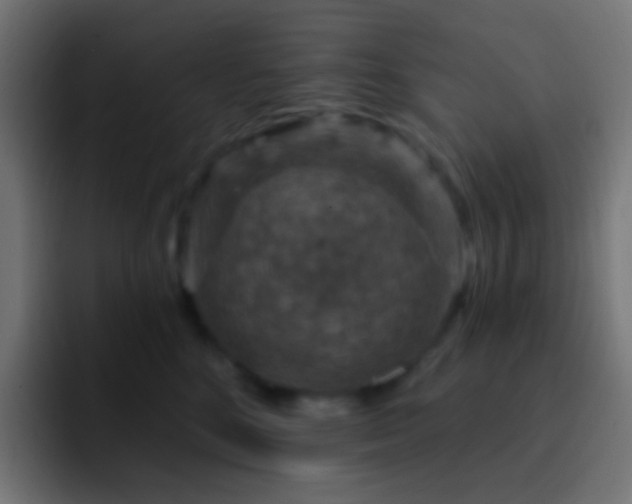 X0000093170520200710031506
