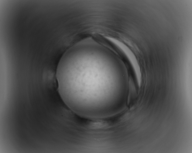 X0000093170521200710031506