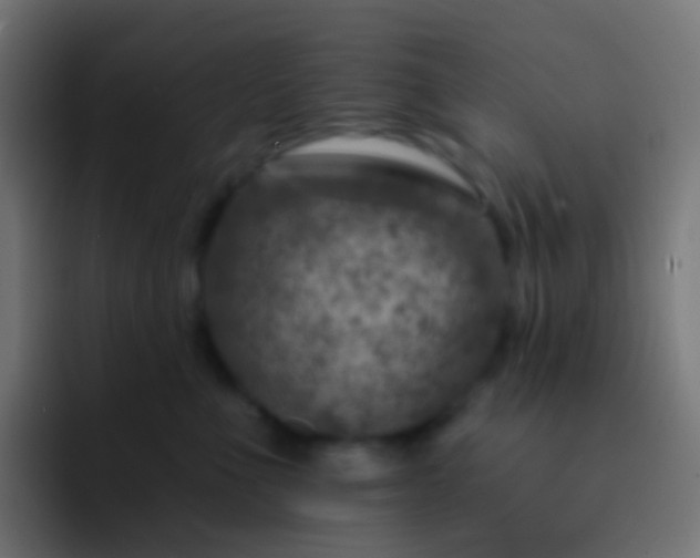 X0000093170523200710031506