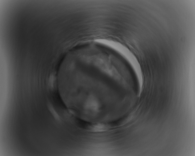 X0000093170527200710031506