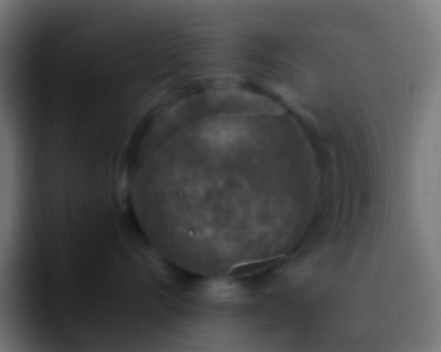 X0000093170528200710031506