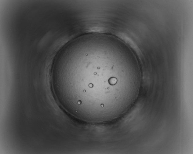 X0000093170529200710031505