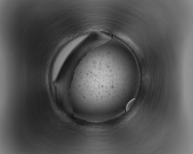 X0000093170530200710031505