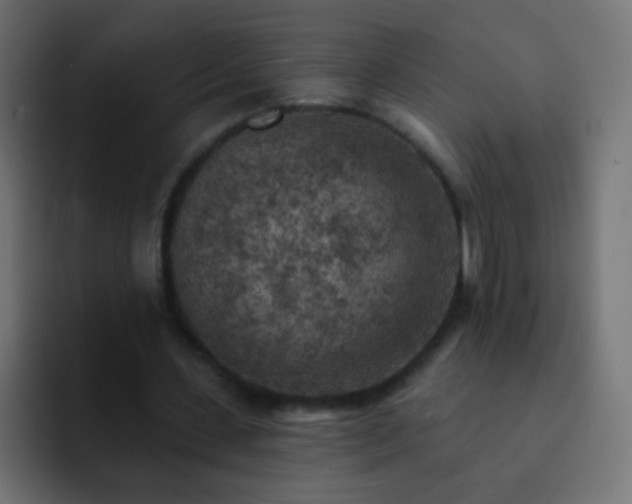 X0000093170531200710031505