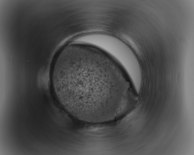 X0000093170532200710031505