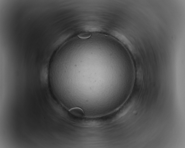 X0000093170533200710031505